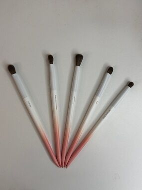 Shades by Shan Set of 5 Pink Ombre Eyeshadow Brushes
